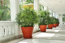 galeria jardineria